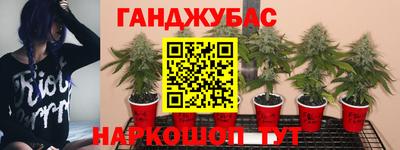 ECSTASY Ирбит