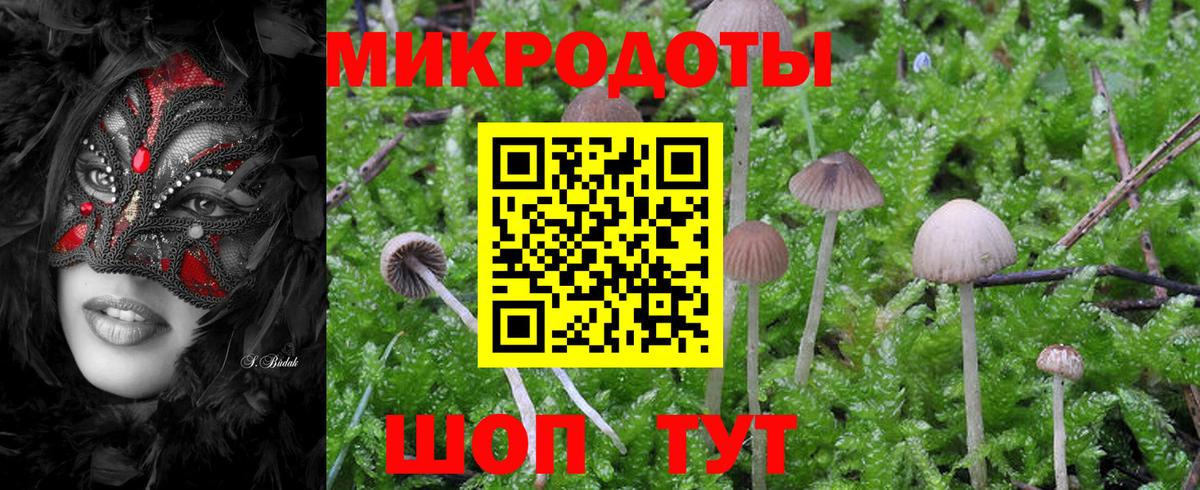 Галлюциногенные грибы Magic Shrooms  Псилоцибиновые грибы мухоморы  Сердобск  Вход с VPN 