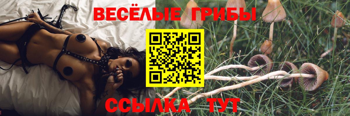 Галлюциногенные грибы мицелий Сердобск